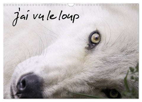 J'ai vu le loup (Calendrier mural 2026 DIN A3 vertical), CALVENDO calendrier mensuel