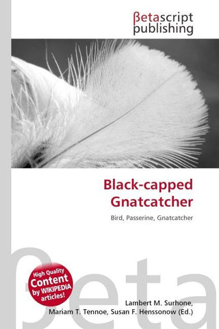 Black-capped Gnatcatcher