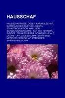 Hausschaf