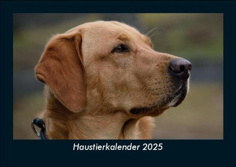Haustierkalender 2025 Fotokalender DIN A5