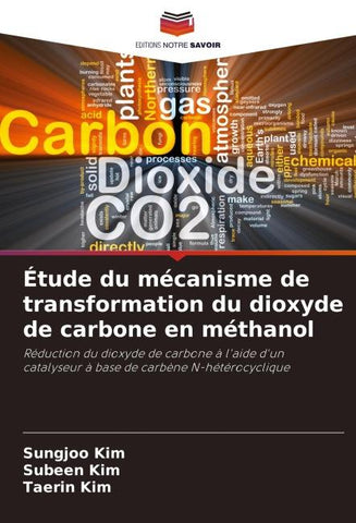Étude du mécanisme de transformation du dioxyde de carbone en méthanol