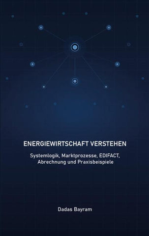 Energiewirtschaft verstehen