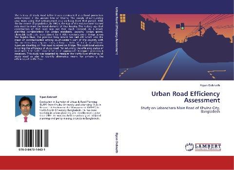 Urban Road Efficiency Assessment