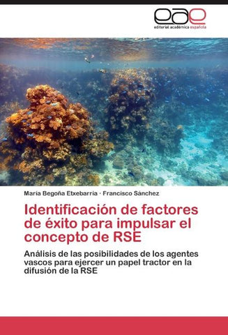 Identificación de factores de éxito para impulsar el concepto de RSE