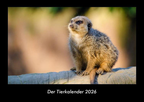 Der Tierkalender 2026 Fotokalender DIN A3