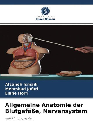 Allgemeine Anatomie der Blutgefäße, Nervensystem