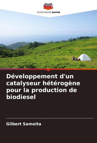 Développement d'un catalyseur hétérogène pour la production de biodiesel