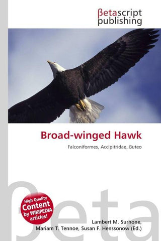 Broad-winged Hawk
