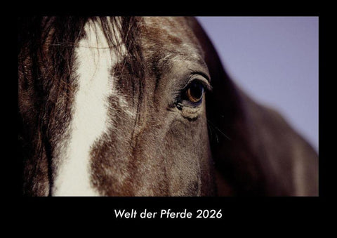 Welt der Pferde 2026 Fotokalender DIN A3