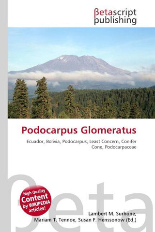 Podocarpus Glomeratus