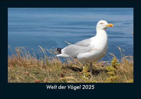 Welt der Vögel 2025 Fotokalender DIN A5