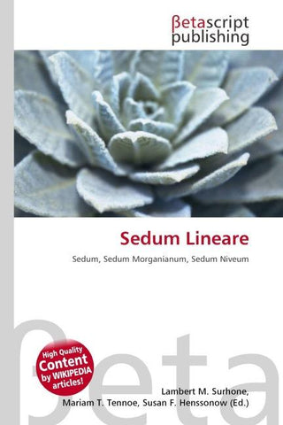 Sedum Lineare