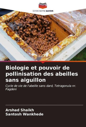 Biologie et pouvoir de pollinisation des abeilles sans aiguillon