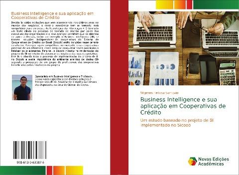 Business Intelligence e sua aplicação em Cooperativas de Crédito