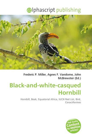Black-and-white-casqued Hornbill