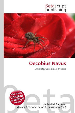 Oecobius Navus