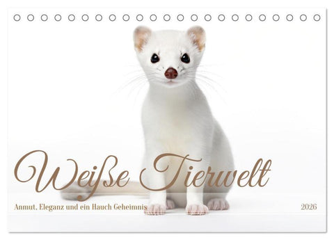 Weiße Tierwelt (Tischkalender 2026 DIN A5 quer), CALVENDO Monatskalender