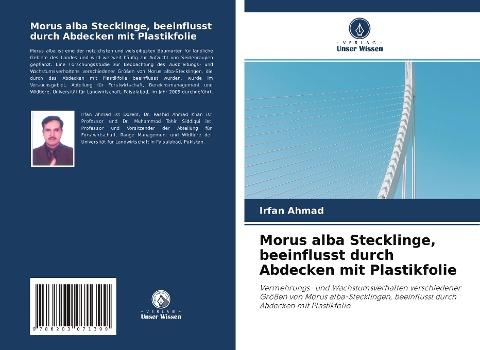 Morus alba Stecklinge, beeinflusst durch Abdecken mit Plastikfolie