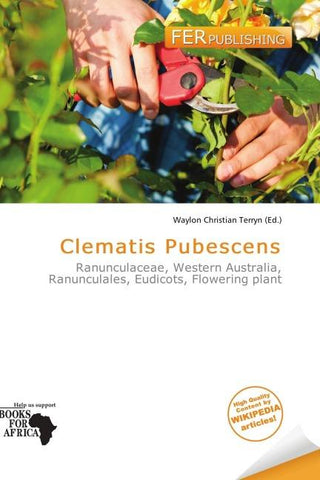 Clematis Pubescens