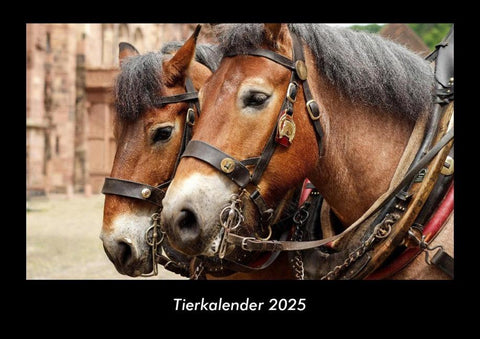 Tierkalender 2025 Fotokalender DIN A3