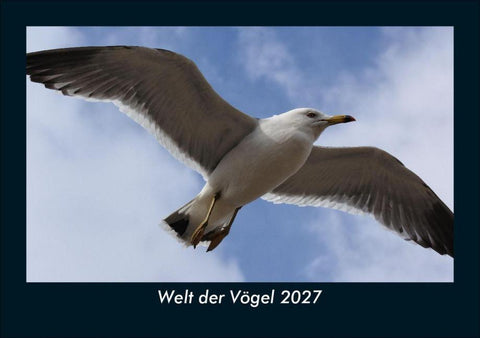 Welt der Vögel 2027 Fotokalender DIN A5