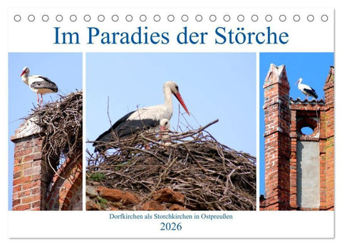 Im Paradies der Störche - Dorfkirchen als Storchkirchen in Ostpreußen (Tischkalender 2026 DIN A5 quer), CALVENDO Monatskalender
