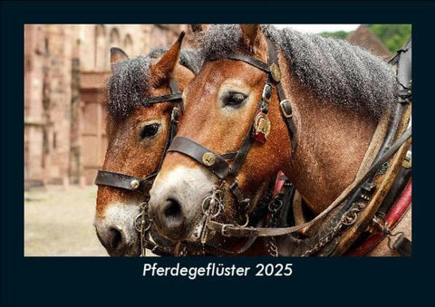 Pferdegeflüster 2025 Fotokalender DIN A5