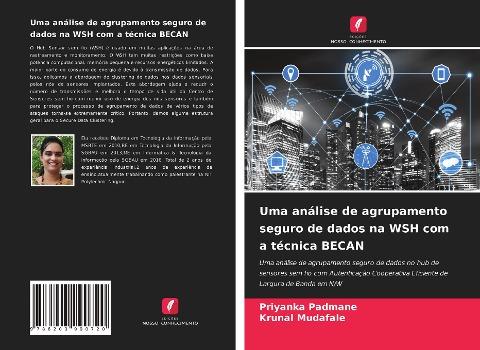 Uma análise de agrupamento seguro de dados na WSH com a técnica BECAN