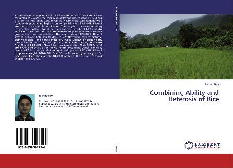 Combining Ability and Heterosis of Rice