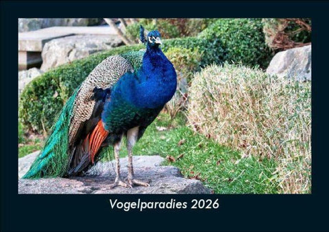 Vogelparadies 2026 Fotokalender DIN A5