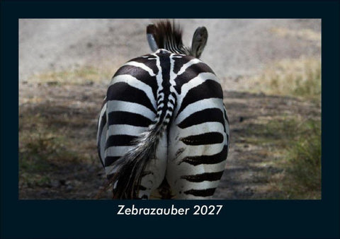 Zebrazauber 2027 Fotokalender DIN A5