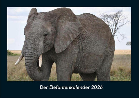 Der Elefantenkalender 2026 Fotokalender DIN A4