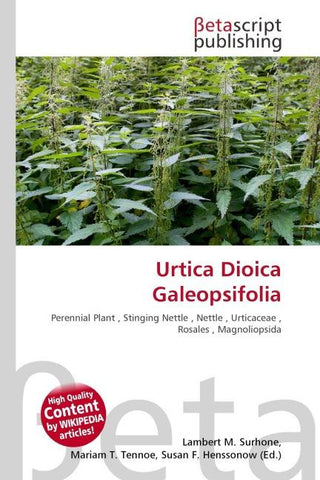Urtica Dioica Galeopsifolia