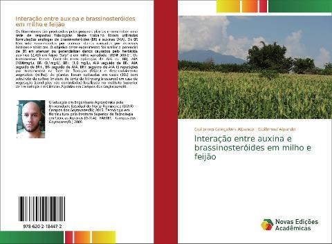 Interação entre auxina e brassinosteróides em milho e feijão