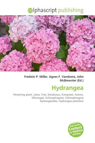 Hydrangea