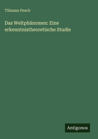 Das Weltphänomen: Eine erkenntnistheoretische Studie