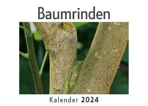 Baumrinden (Wandkalender 2024, Kalender DIN A4 quer, Monatskalender im Querformat mit Kalendarium, Das perfekte Geschenk)