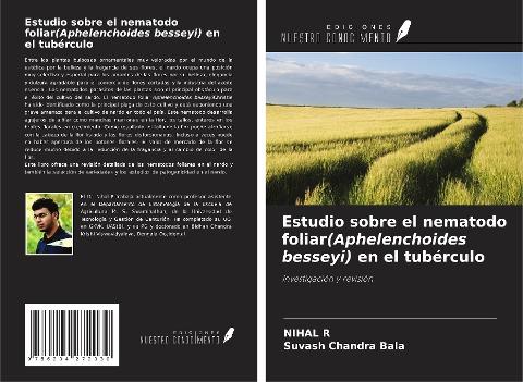 Estudio sobre el nematodo foliar(Aphelenchoides besseyi) en el tubérculo