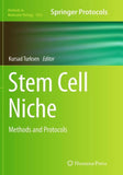 Stem Cell Niche