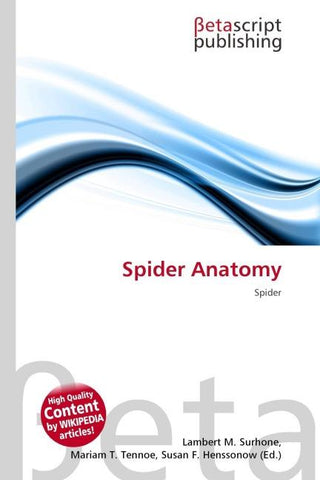 Spider Anatomy