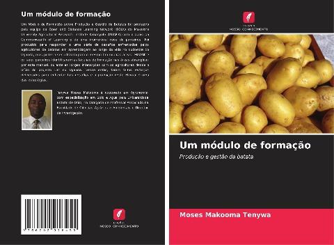Um módulo de formação