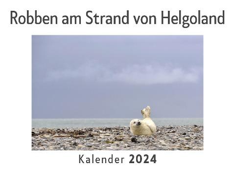 Robben am Strand von Helgoland (Wandkalender 2024, Kalender DIN A4 quer, Monatskalender im Querformat mit Kalendarium, Das perfekte Geschenk)