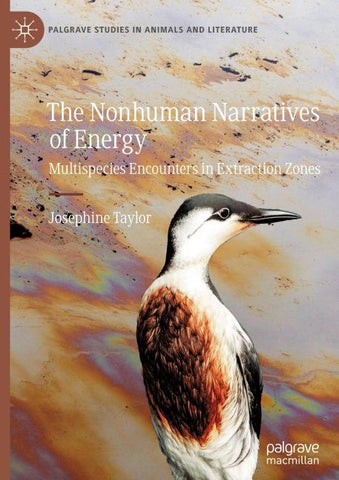 The Nonhuman Narratives of Energy