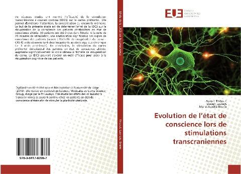Evolution de l'état de conscience lors de stimulations transcraniennes
