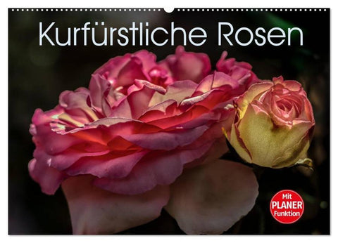 Kurfürstliche Rosen Eltville am Rhein (Wandkalender 2026 DIN A2 quer), CALVENDO Monatskalender
