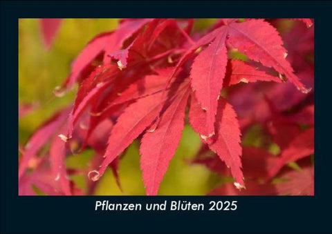 Pflanzen und Blüten 2025 Fotokalender DIN A5