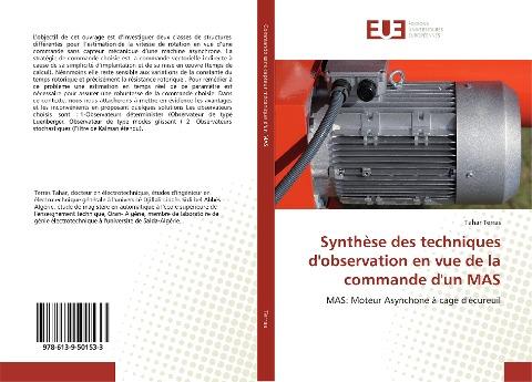 Synthèse des techniques d'observation en vue de la commande d'un MAS