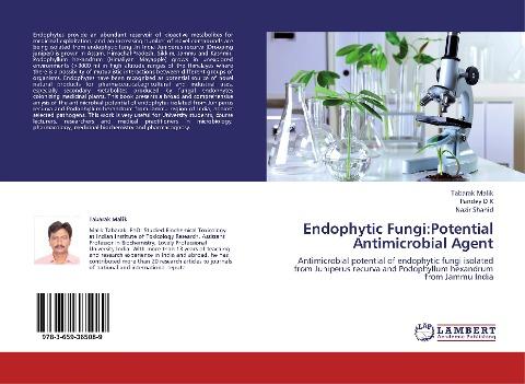 Endophytic Fungi:Potential Antimicrobial Agent