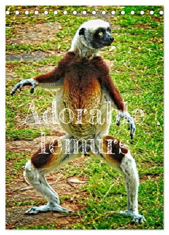 Adorable lemurs (Desk Calendar 2026 DIN A5 portrait), CALVENDO 12 Month DeskCalendar