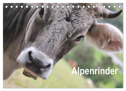 Alpenrinder (Tischkalender 2026 DIN A5 quer), CALVENDO Monatskalender